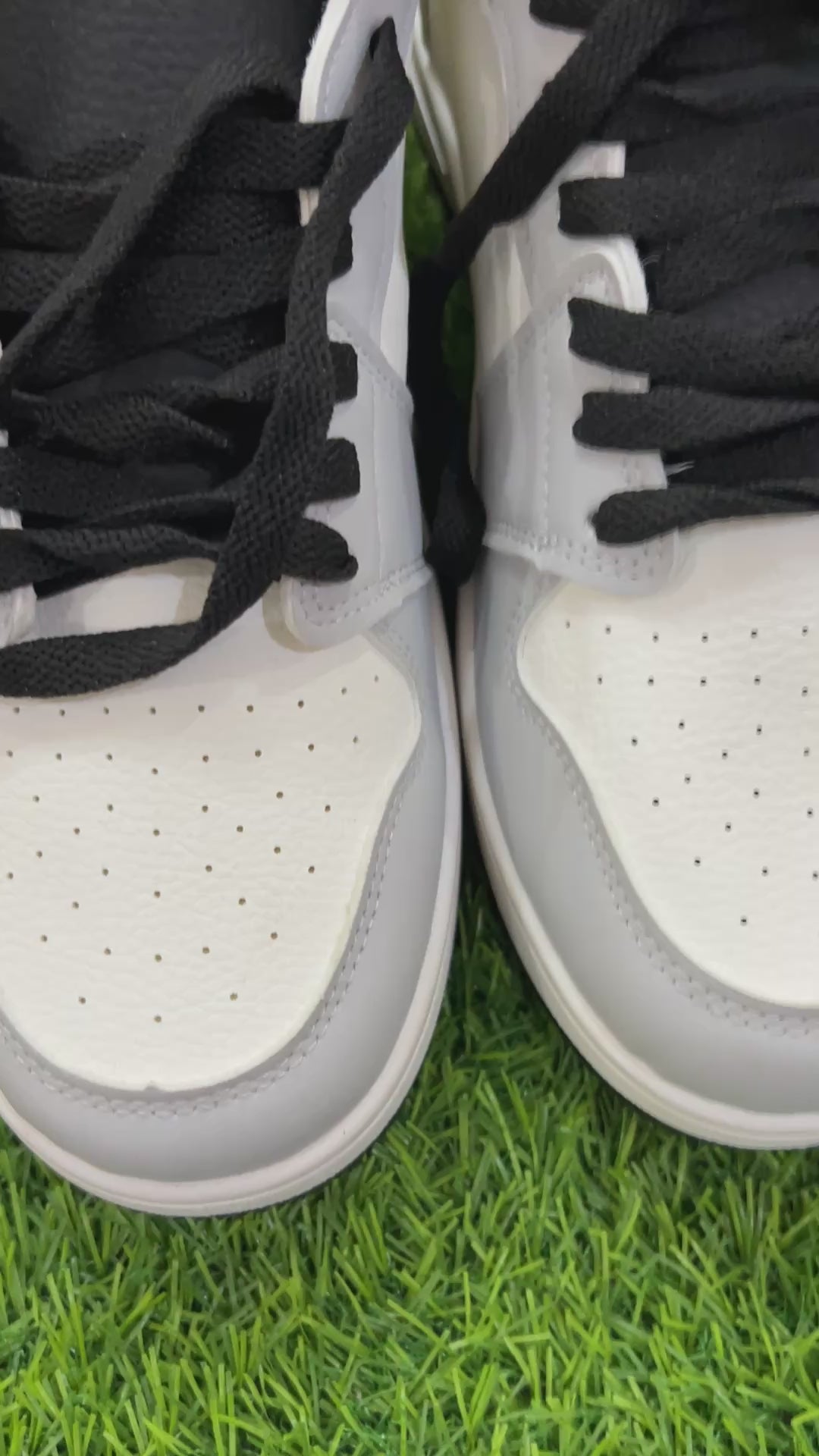 Low dunk ''pigeon''